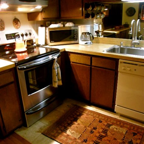 Byrdhaus kitchen detail